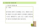 [추천PPT] 아동영양교육의 필요성과 구체적인 영양교육 방법에 대해 서술 86페이지