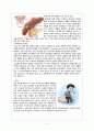 (성인간호) 담낭염 cholecystitis  case 2페이지