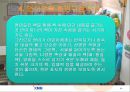 [영유아기 언어발달] 영유아기 언어발달 과정, 영유아 언어교육 지침, 영유아 언어 영역, 연령별 도서 선정, 영유아 언어 발달 20페이지
