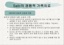 [가족상담및치료] 정신분석이론의 전제와 주요 개념, 가족상담 및 치료 영역에서의 기여점(A+) 31페이지