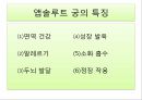 조제유 (조제유 시판되고 있는 조제유, 조제유 종류, 조제유 특성, 조제유 성분, 조제유 가격 비교, 특수 조제유 종류, 특수 조제유 성분, 특수 조제유 가격, 남양 조제유, 파스퇴르 조제유, 매일 조제유) 19페이지