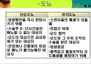 배뇨장애대상자간호 36페이지
