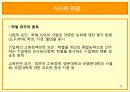 [기러기가족] 기러기 가족의 현황과 문제점 및 나아갈 방향 13페이지