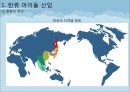 한류 아이돌 스타 산업의 현황과 SWOT, SCP, 사례 및 향후 전망[A+ 평가 레포트★★★★★] 5페이지
