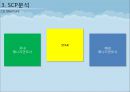 한류 아이돌 스타 산업의 현황과 SWOT, SCP, 사례 및 향후 전망[A+ 평가 레포트★★★★★] 11페이지