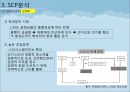 한류 아이돌 스타 산업의 현황과 SWOT, SCP, 사례 및 향후 전망[A+ 평가 레포트★★★★★] 13페이지