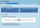 한류 아이돌 스타 산업의 현황과 SWOT, SCP, 사례 및 향후 전망[A+ 평가 레포트★★★★★] 18페이지
