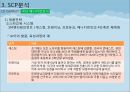 한류 아이돌 스타 산업의 현황과 SWOT, SCP, 사례 및 향후 전망[A+ 평가 레포트★★★★★] 21페이지