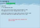 한류 아이돌 스타 산업의 현황과 SWOT, SCP, 사례 및 향후 전망[A+ 평가 레포트★★★★★] 25페이지