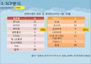 한류 아이돌 스타 산업의 현황과 SWOT, SCP, 사례 및 향후 전망[A+ 평가 레포트★★★★★] 29페이지