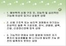 (장애아동복지) 한국의 장애아동사업의 현황과 문제점 및 장애아동 복지 개선 방향.PPT자료 7페이지