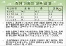 (장애아동복지) 한국의 장애아동사업의 현황과 문제점 및 장애아동 복지 개선 방향.PPT자료 13페이지