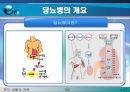 당뇨병에 대한 PPT - 당뇨병이란 당뇨병의 원인, 종류, 진단과 검사, 증상, 당뇨병의 3대증상, 당뇨병의 합병증, 당뇨병의 관리 4페이지
