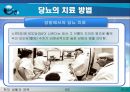 당뇨병에 대한 PPT - 당뇨병이란 당뇨병의 원인, 종류, 진단과 검사, 증상, 당뇨병의 3대증상, 당뇨병의 합병증, 당뇨병의 관리 18페이지
