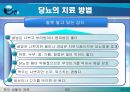 당뇨병에 대한 PPT - 당뇨병이란 당뇨병의 원인, 종류, 진단과 검사, 증상, 당뇨병의 3대증상, 당뇨병의 합병증, 당뇨병의 관리 24페이지