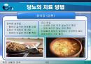 당뇨병에 대한 PPT - 당뇨병이란 당뇨병의 원인, 종류, 진단과 검사, 증상, 당뇨병의 3대증상, 당뇨병의 합병증, 당뇨병의 관리 32페이지