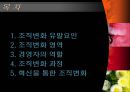 조직의 변화와 혁신 및 조직변화영역 (조직변화 유발요인, 조직변화 영역, 경영자의 역할, 조직변화 과정, 혁신을 통한 조직변화).PPT자료 2페이지