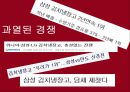 딤채 마케팅 (DIMCHAE MARKETING) (기업 및 제품소개, 외부환경 분석, SWOT 분석, STP 분석, 4P 분석, 성공요인 및 향후방향).pptx 11페이지