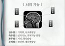  치매조기검진과 노인장기요양보험 활용 위한 치매예방 강의자료.pptx 13페이지