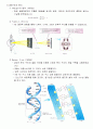 유전자의 세계 2페이지