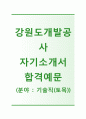 (강원도개발공사자기소개서 + 면접기출문제) 강원도개발공사(기술직토목건축) 자기소개서 합격예문 [강원도개발공사자소서지원동기첨삭항목] 1페이지