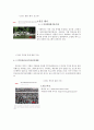 관광지로서의 의 모습에 집중해서 관련한 자료를 다룬 보고서 7페이지
