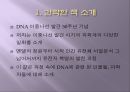 DNA 생명의 비밀 - 제임스 D. 왓슨, 앤드루 저.pptx 3페이지