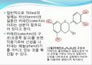 아주대 화학실험 카페인분리 발표자료 10페이지