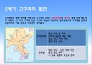 삼국의 성립과 발전 10페이지