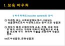 [보육시설 및 실태]보육정책의 현황과 앞으로의 방향 레포트 34페이지