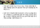 [실천기술론]실사례를 통해 살펴본 위기개입모델에 대한 모든 것 38페이지