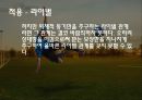 [스포츠심리학] 스포츠 심리학의 개념과 중요섬 및 스포츠 심리학 적용 사례, 영향, 특징, 해결방안과 전망 22페이지