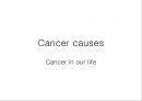 [암 발생 원인 영문 발표서] Cancer causes 1페이지