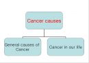 [암 발생 원인 영문 발표서] Cancer causes 2페이지