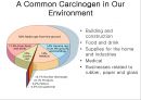 [암 발생 원인 영문 발표서] Cancer causes 9페이지