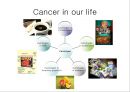 [암 발생 원인 영문 발표서] Cancer causes 10페이지
