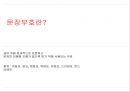 [올바른 언어] 잘못된 언어 및 문장부호의 다양한 사례와 역할과 기능 5페이지