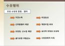 [성심리학] 임신과정, 수유, 피임, 낙태에 대한 모든 것 15페이지