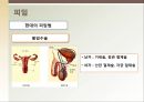 [성심리학] 임신과정, 수유, 피임, 낙태에 대한 모든 것 35페이지