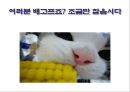 [일본문화] 헤이안시대의 개막, 사회, 문화, 지배계층 분석등 전반전 분석 18페이지