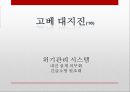 [일본 대지진] 일본 도호쿠 대지진(토호쿠 대지진 東北大地震) 이후의 일본의 정책 변화와 일본사회의 반응 및 향후 방향.PPT자료 33페이지