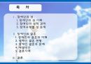 [장애인복지] 장애인 성(性), 성적권리에 대한 올바른 이해와 장애인 결혼문제 해결방안.PPT자료 2페이지