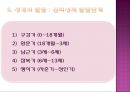 [지그문트 프로이트와 안나 프로이트] 지그문트 프로이트와 안나 프로이트의 주요개념, 모형, 성격, 정신분석적 성격이론, 방어기제이론 분석 레포트 11페이지