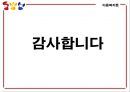 [지지적 서비스] 다양한 분야에서의 지지적 서비스 실천 방안과 복지서비스 33페이지