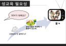 [청소년 성교육 방안] 청소년 성교육의 필요성과 학교 성교육의 문제점 및 사회적 문제점과 성교육 인터뷰, 학교사회복지 방안 5페이지