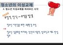 [청소년 성교육 방안] 청소년 성교육의 필요성과 학교 성교육의 문제점 및 사회적 문제점과 성교육 인터뷰, 학교사회복지 방안 20페이지