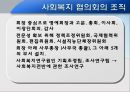 대전 사회복지 협의회 기관분석 발표보고서 (인터뷰도 포함) 14페이지