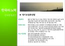 기후변화의 현황과 원인, 기후변화 대책현황 및 한국의 노력방안 37페이지