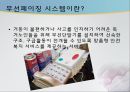 독거노인 정책의 현황 및 문제점 독거노인 복지 방안과 성공적 사례 예시 25페이지