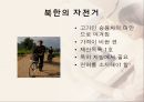 북한의 대중교통 및 교통문화에 대한 발표 보고서 (지하철, 전차, 택시, 버스, 기차, 자전거, 대중교통 문화).PPT자료 11페이지